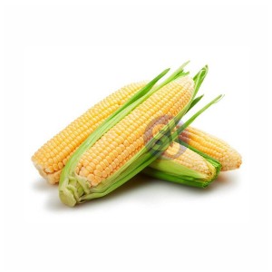 Sweet Corn 1kg 