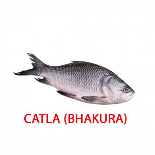  BHAKUR - 1 KG