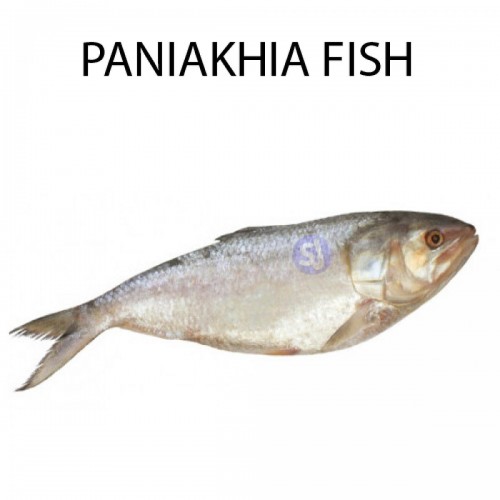 PANIAKHIA FISH - 1 KG