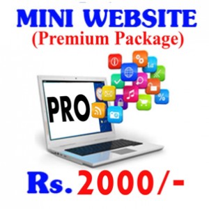 Mini Website (Premium)